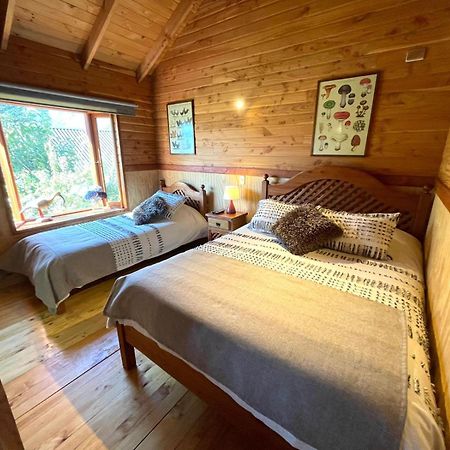 Hostal Pucon Sur Buitenkant foto